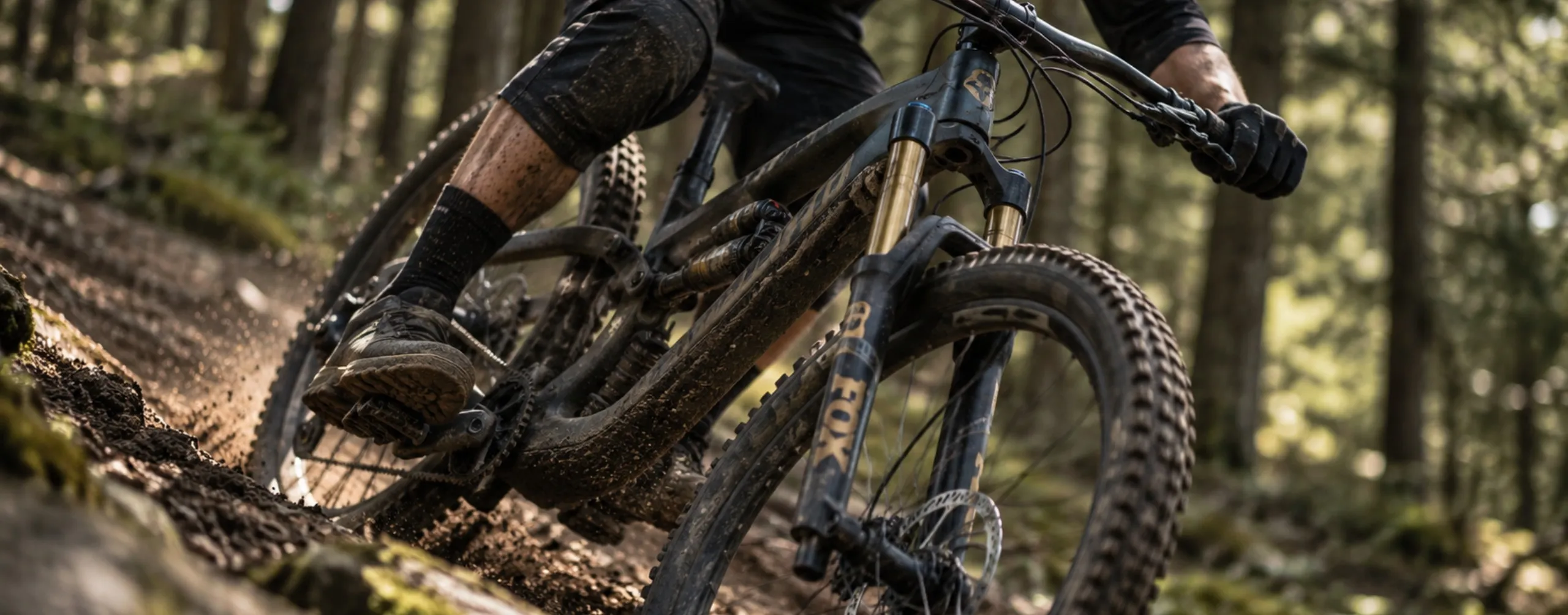 Preparazione Forcelle MTB e Ammortizzatori