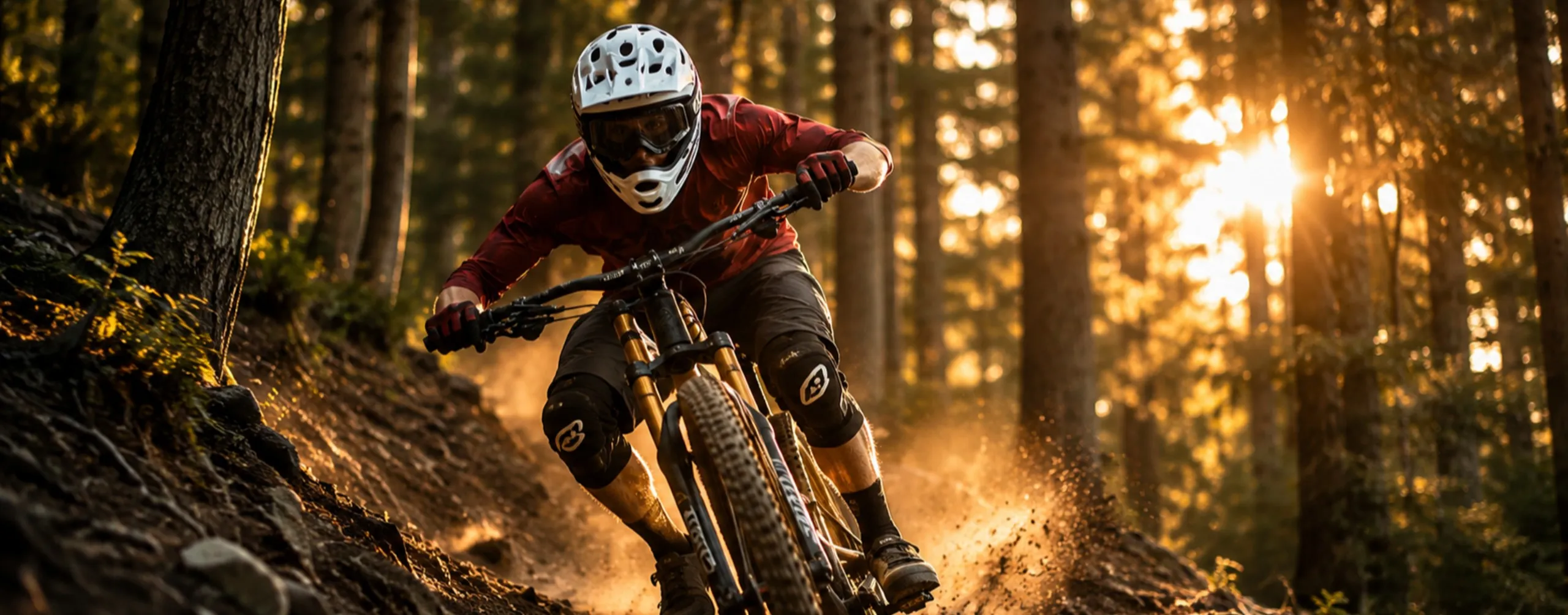 Preparazione Sospensioni MTB | Forcelle e Ammortizzatori | WS Suspension
