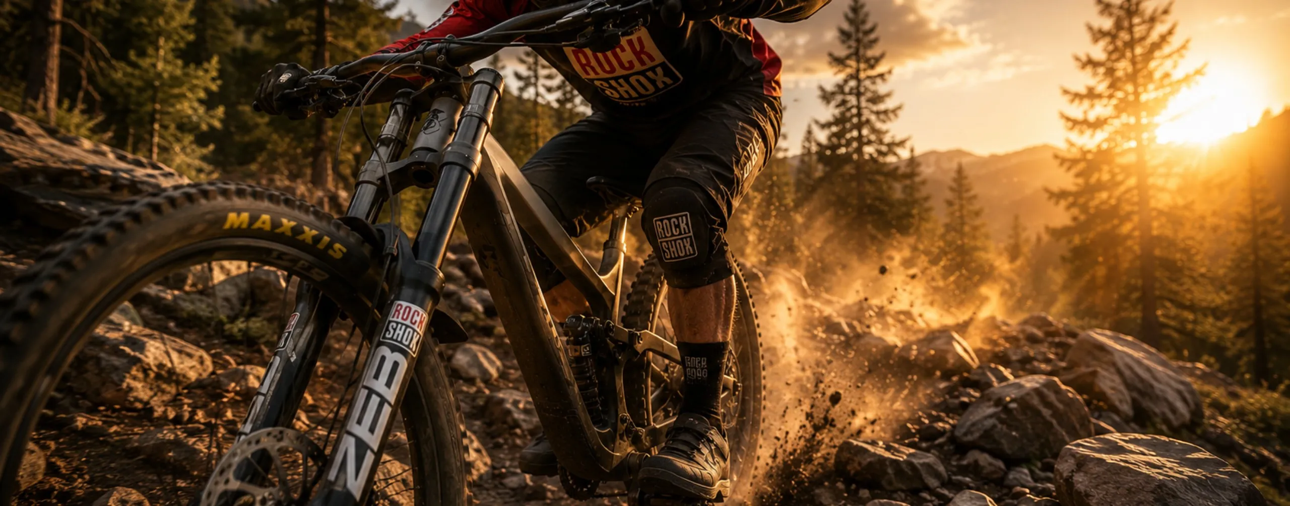 Sospensioni RockShox | Revisione, Preparazione e Taratura | WS Suspension